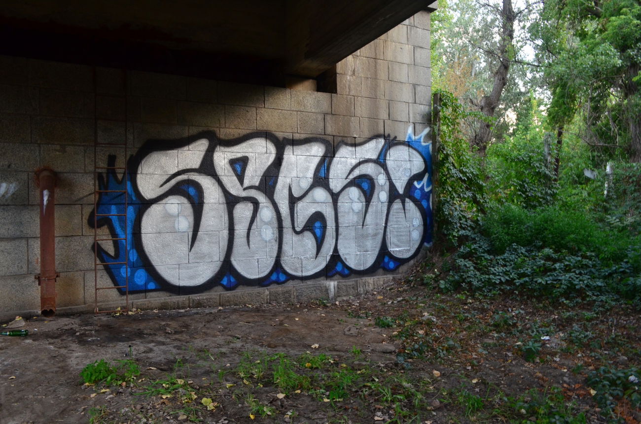Graffiti Bombing - Photo by spgs222 - SPGS (2018)