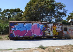 Photo #30503 by maket