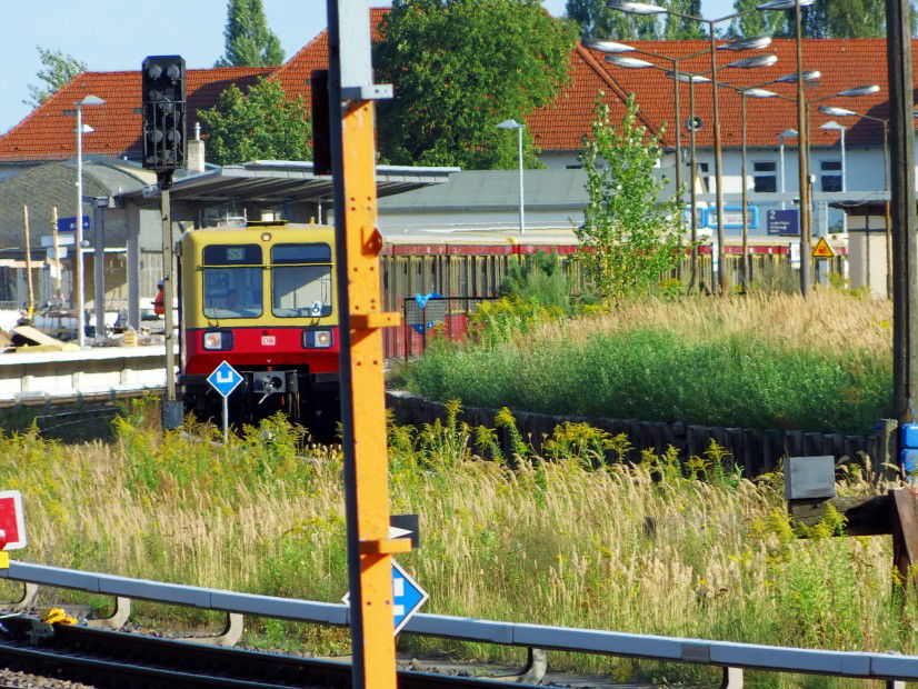 Graffiti Artwork in Berlin - Photo by spiegelreflex - sbahn, s-bahn, s3