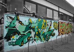 Photo #180108 by noc