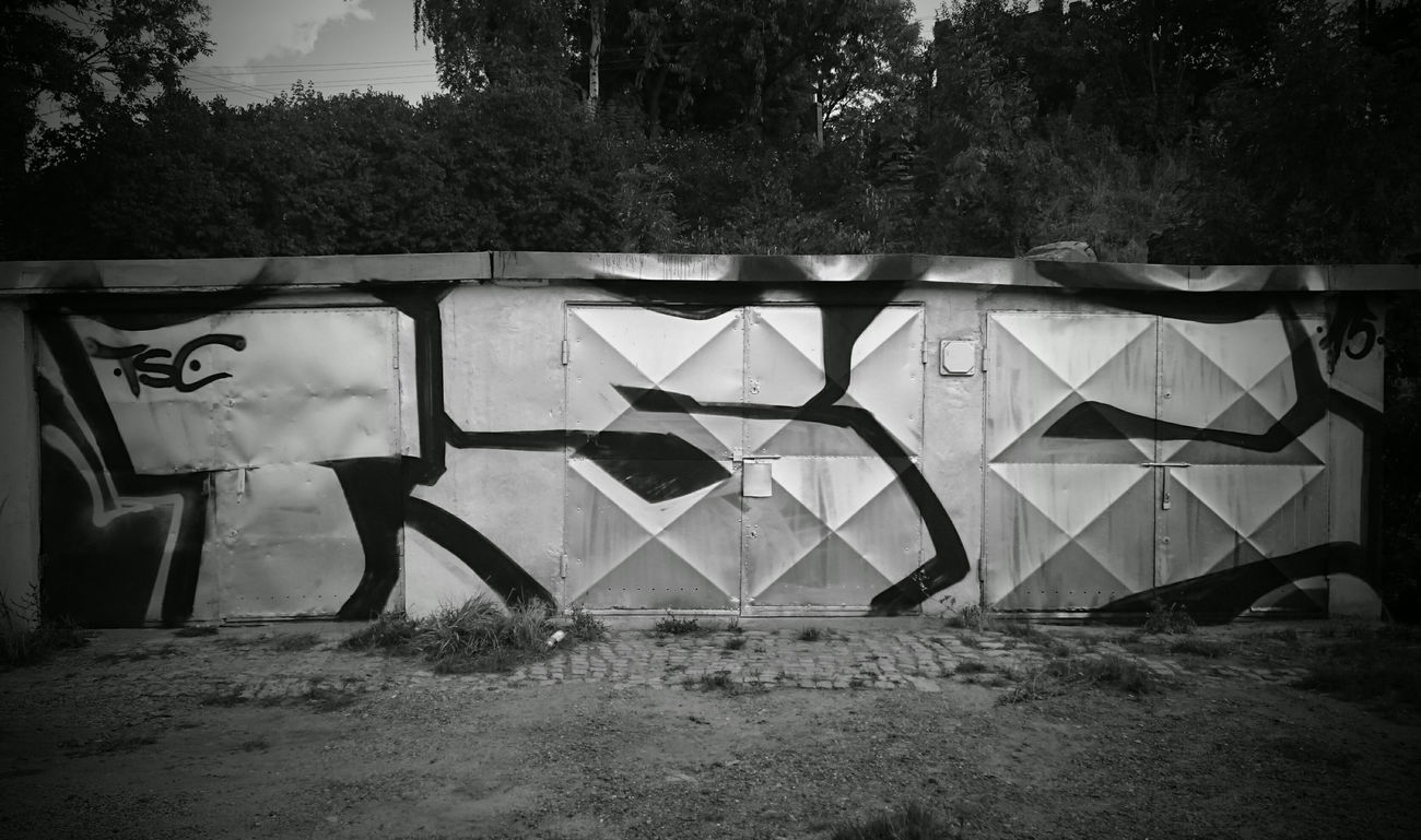 Graffiti Bombing - Photo by spirol