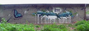 Graffiti Wall in Frankfurt (Oder) - Photo by spoare153 - spoare, spoare153, new (2011)