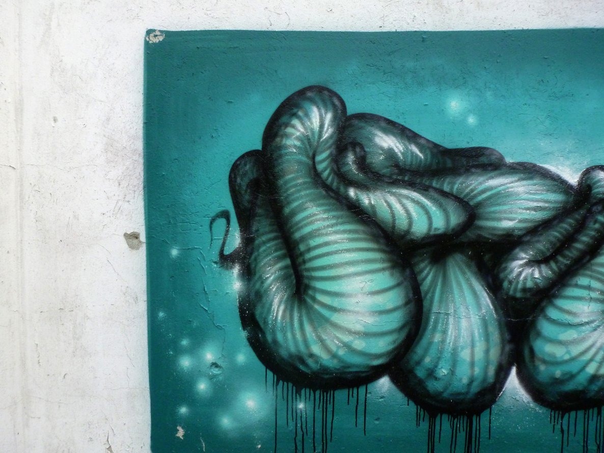 Graffiti Wall in Frankfurt (Oder) - Photo by spoare153 - detail, new, spoare153 (2014)