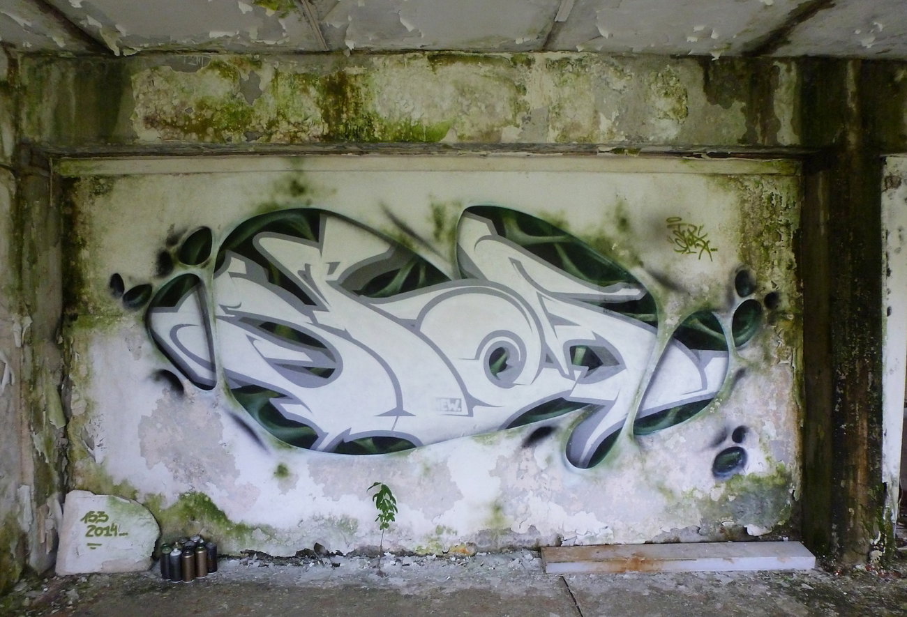 Graffiti Wall - Photo by spoare153 (2014)