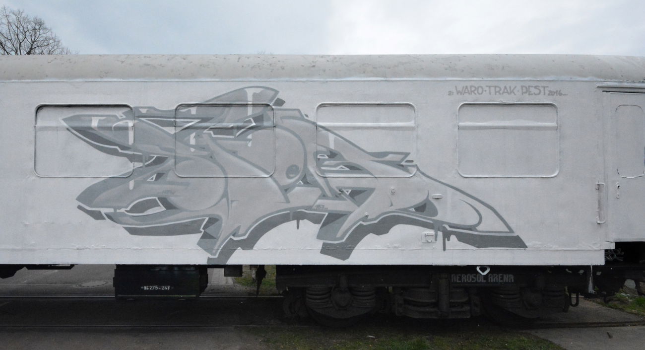 Graffiti Wall in Magdeburg - Photo by spoare153 - spoa, spoare153, 153 (2016)