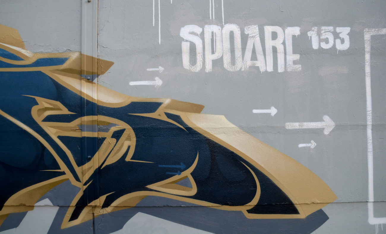 Graffiti Wall - Photo by spoare153 - spoadetails (2016)