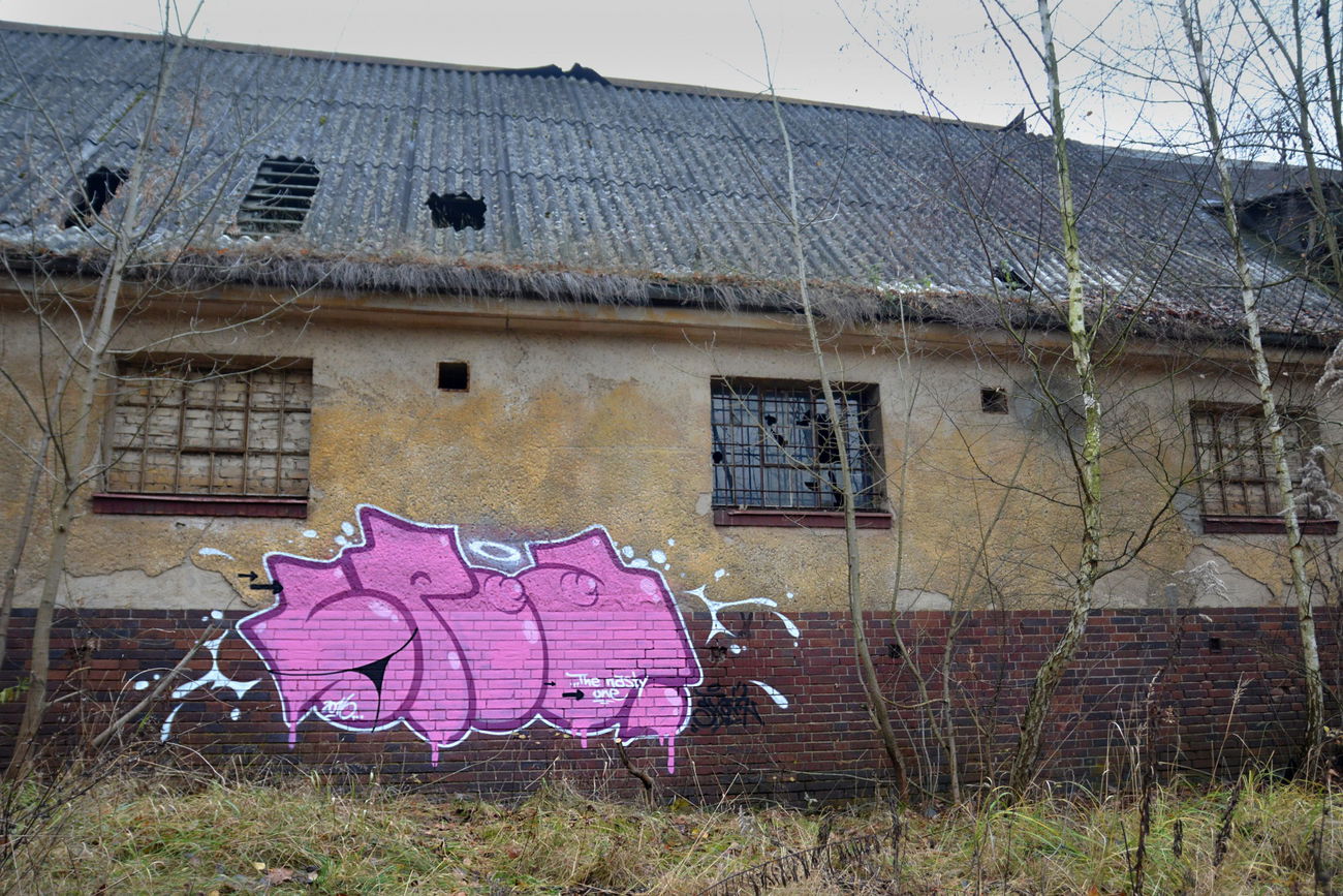 Graffiti Wall in Frankfurt (Oder) - Photo by spoare153 - spoare, spoa (2016)