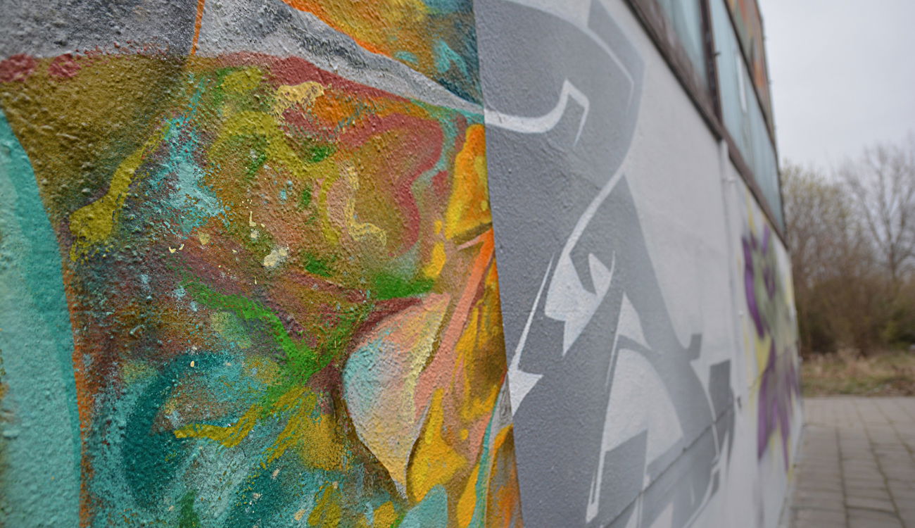 Graffiti Wall in Frankfurt (Oder) - Photo by spoare153 - spoaDetails, detail, spoare (2016)