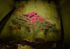 Graffiti Wall - Photo by spoare153 - spoare153, spor, 153 (2016)