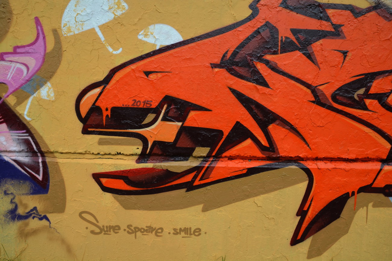 Graffiti Wall - Photo by spoare153 - detail, spoare, 153 (2015)