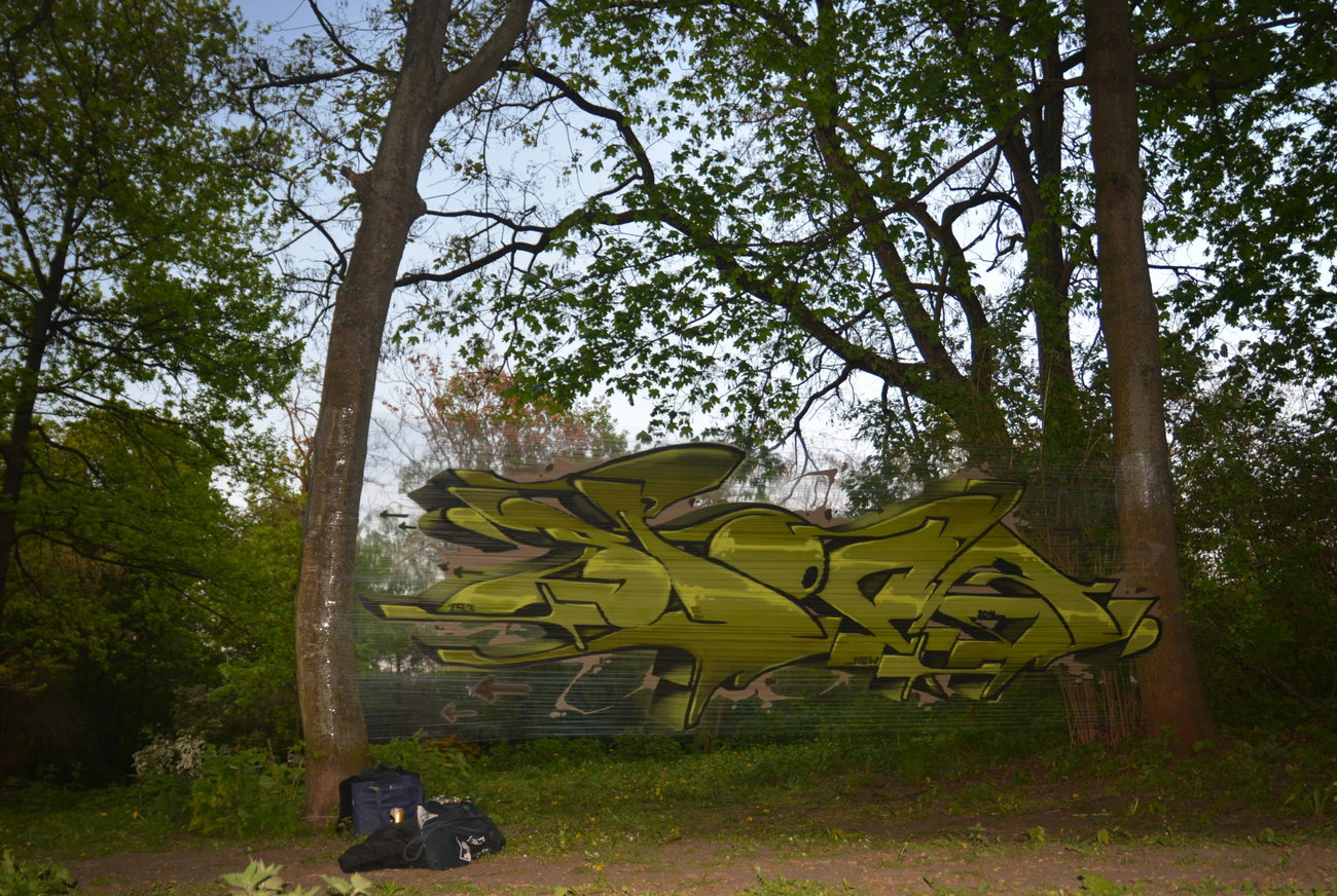 Graffiti Artwork in Berlin - Photo by spoare153 - spoar, spoare153, cellograff (2016)