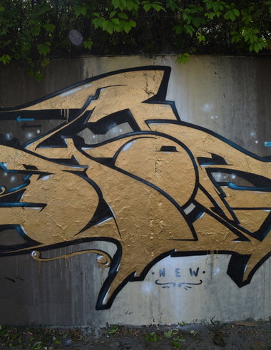 Graffiti Wall - Photo by spoare153 - goldenspoa, spoare, spoa (2015)