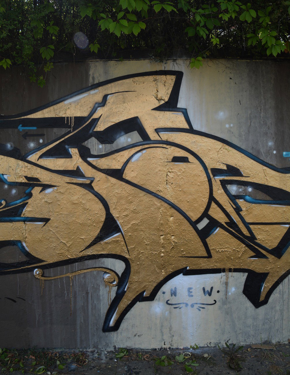 Graffiti Wall - Photo by spoare153 - goldenspoa, spoare, spoa (2015)