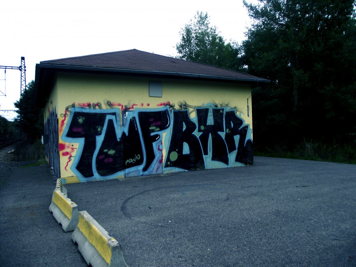 Graffiti Bombing - Photo by spok - bxr, twf, spok (2013)