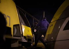 Photo #248963 by TheWallHunter