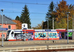 Photo #195514 by iltis