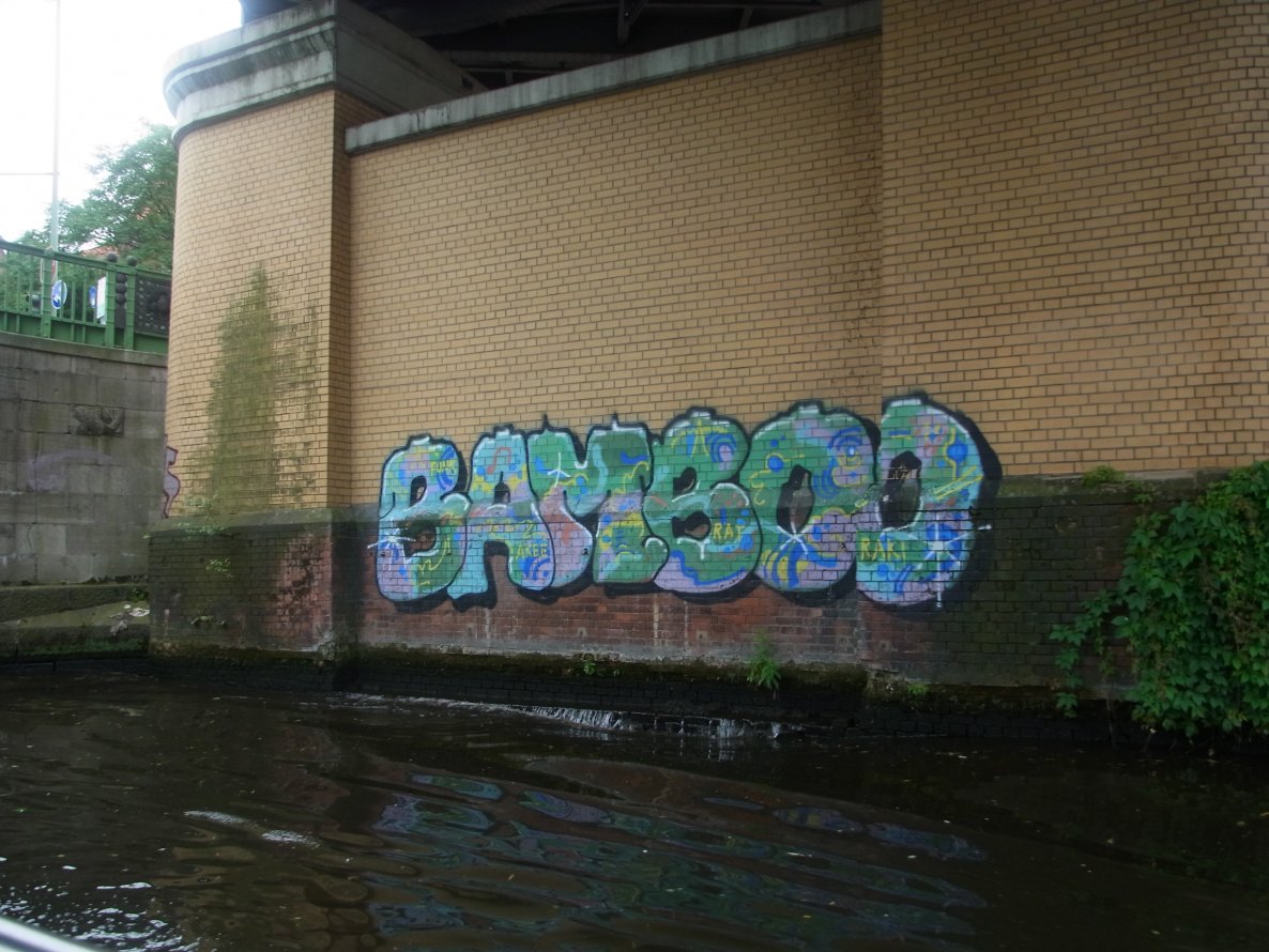 Graffiti Bombing - Photo by staubsauger - Bamboo