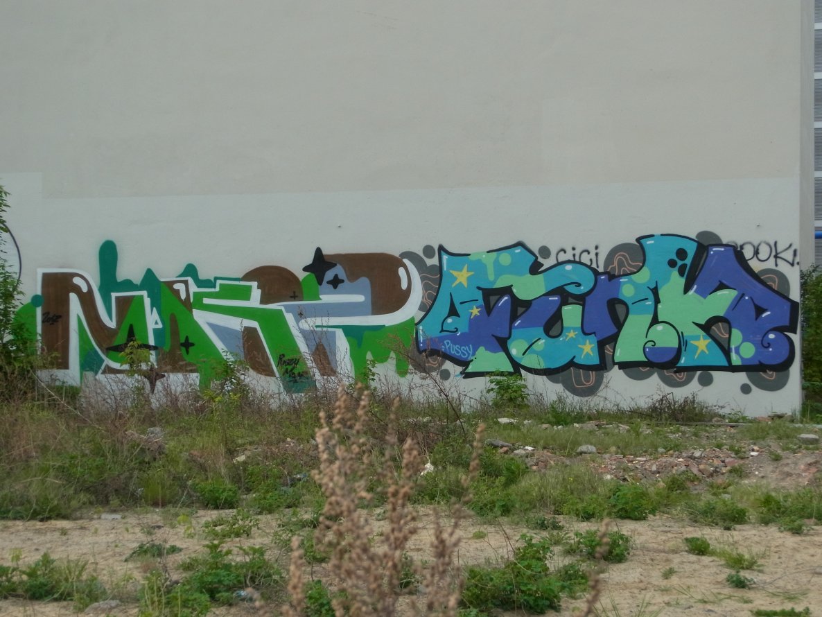 Graffiti Bombing - Photo by staubsauger - Nakz, Funk
