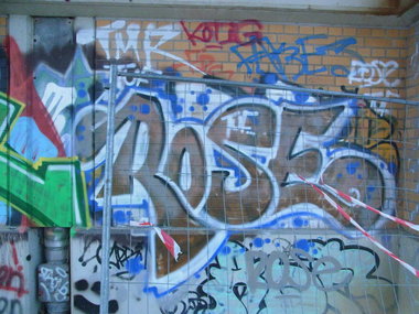Graffiti Bombing - Photo by staubsauger - rose, berlin
