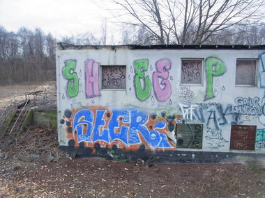 Graffiti Bombing - Photo by staubsauger - sheep, ster, berlin