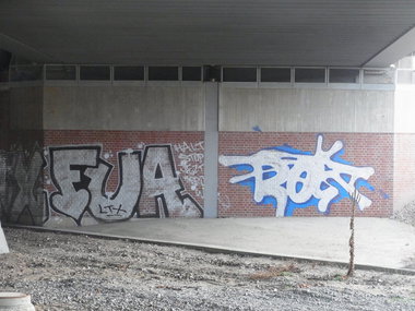 Graffiti Bombing - Photo by staubsauger - fua, roy, berlin