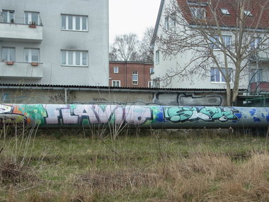 Graffiti Bombing - Photo by staubsauger - flavio, slow, rostock