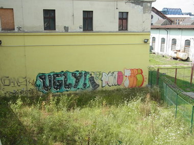 Graffiti Bombing - Photo by staubsauger - ugly, demo, taps