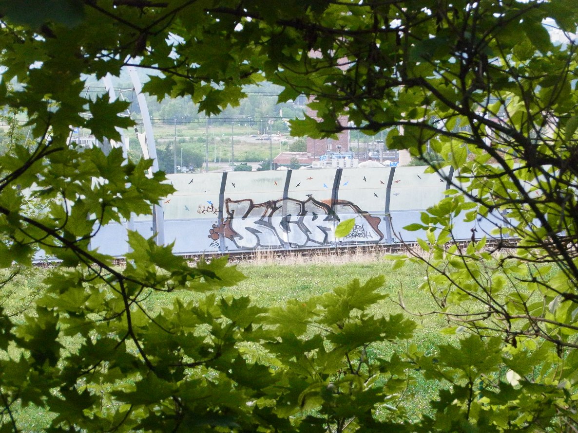 Graffiti Bombing - Photo by staubsauger - kcr, prag