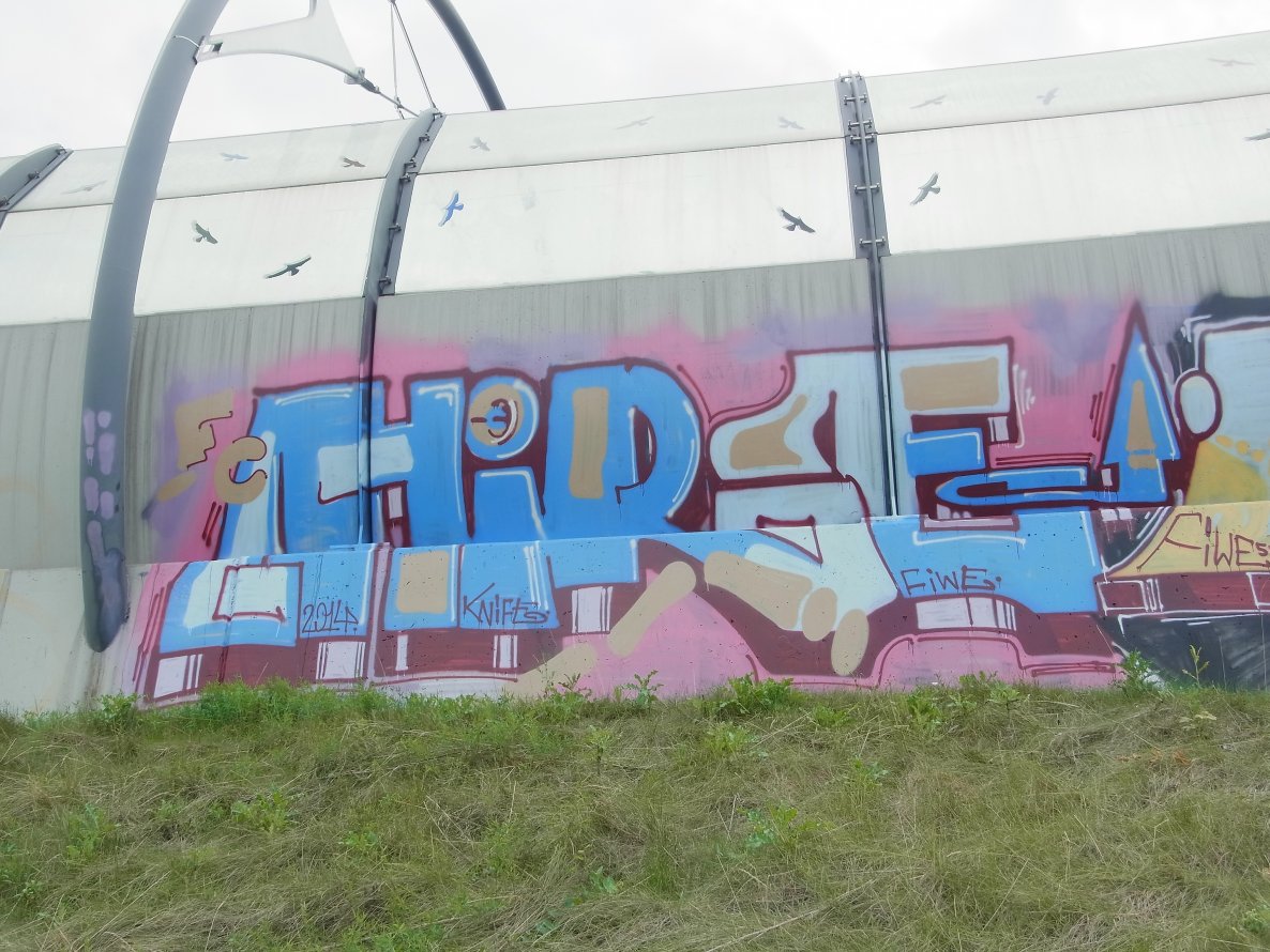 Graffiti Bombing - Photo by staubsauger - Hire, prag