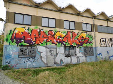 Graffiti Wall - Photo by staubsauger - Radicals, FKA, Leipzig