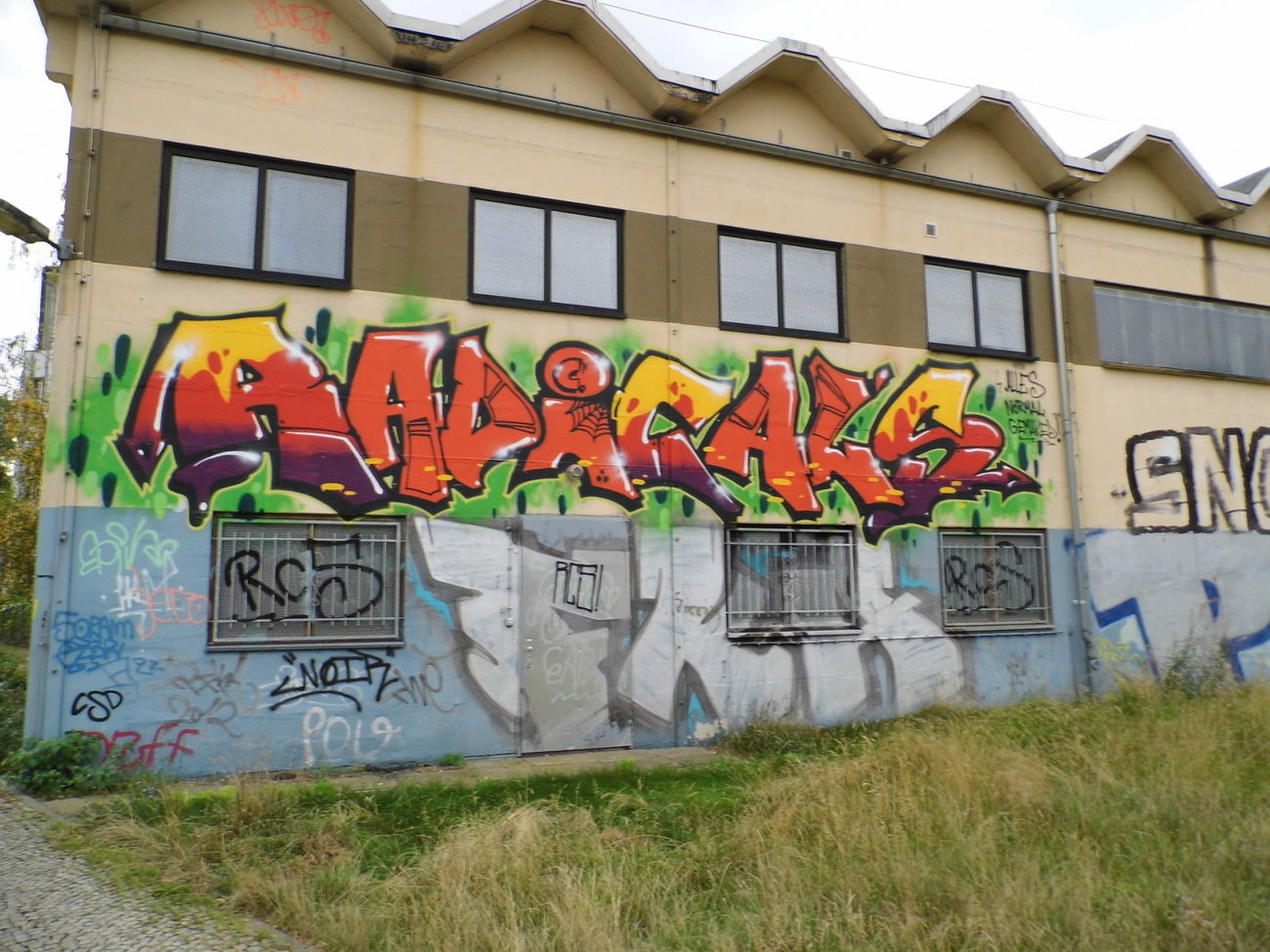 Graffiti Wall - Photo by staubsauger - Radicals, FKA, Leipzig