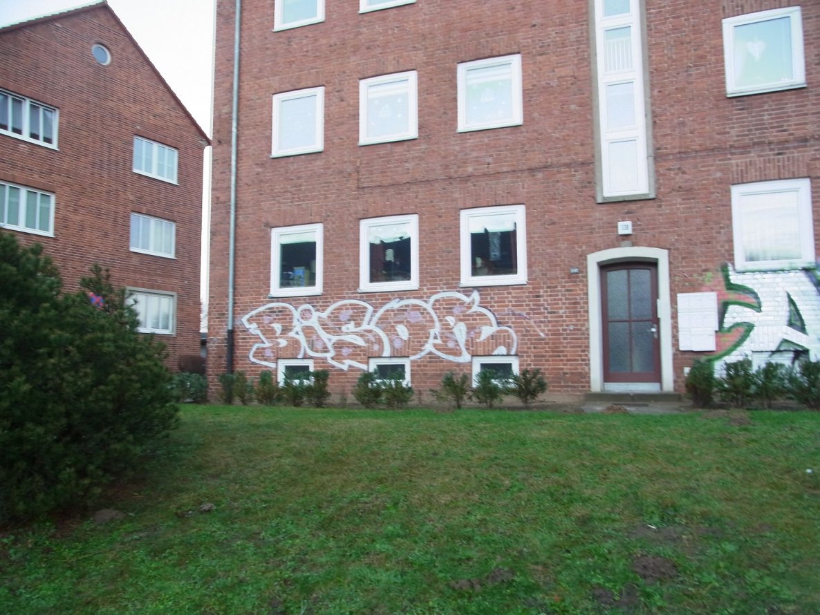 Graffiti Bombing - Photo by staubsauger - Bisor, Rostock