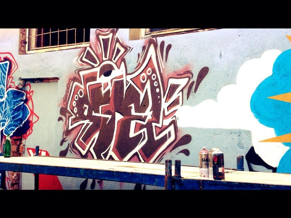 Graffiti Wall - Photo by steloner - frog, fuckthefrog, varna (2013)