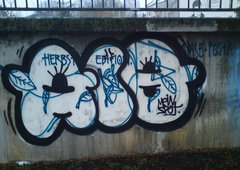 Photo #2443 by EdwardSnowden