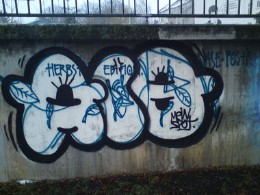 Graffiti Bombing in bonn - Photo by stencilartist - aio