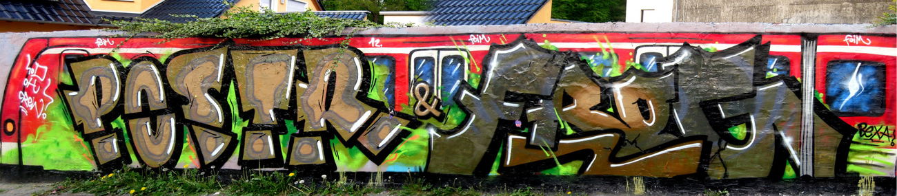 Graffiti Wall in Germany - Photo by stencilartist - postr, frog, oh