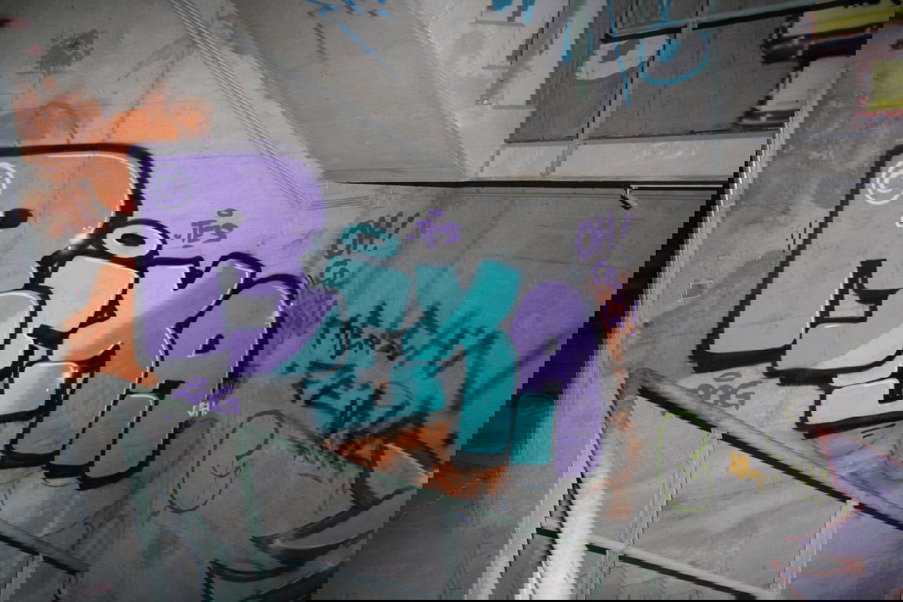 Graffiti Wall - Photo by stencilartist - bexa, frog, oh