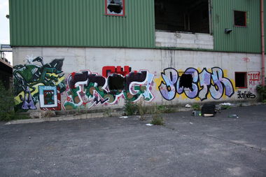 Graffiti Wall - Photo by stencilartist - vita, frog, postr