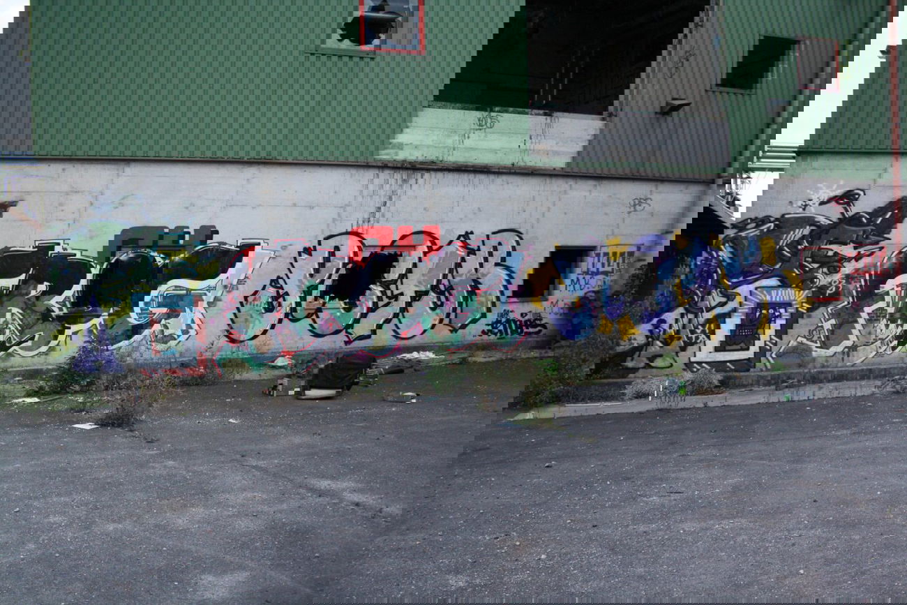 Graffiti Wall - Photo by stencilartist - vita, frog, postr