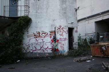 Graffiti Bombing - Photo by stencilartist - frog, zof