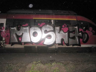 Graffiti Train - Photo by stencilartist - mosle