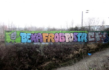 Graffiti Bombing - Photo by stencilartist - bexa, frog, postr