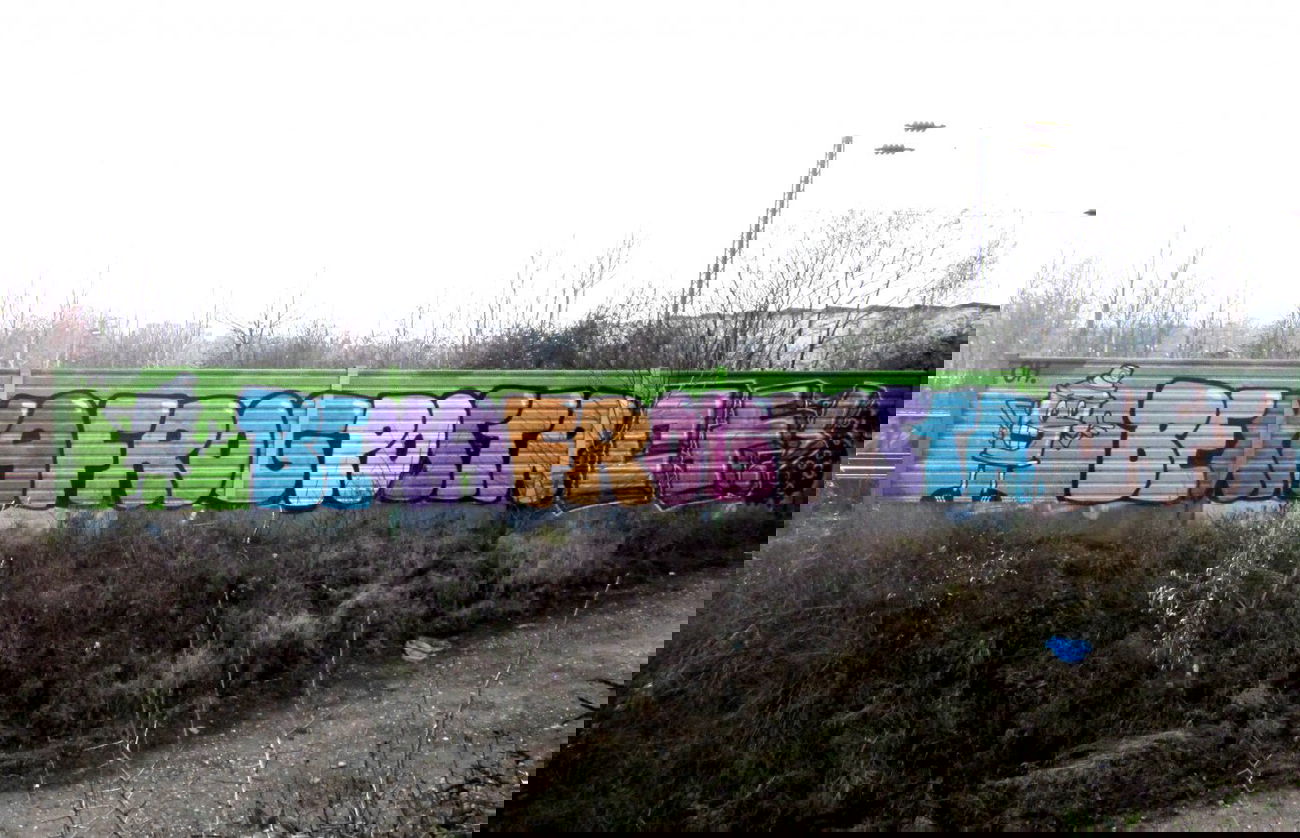 Graffiti Bombing - Photo by stencilartist - bexa, frog, postr