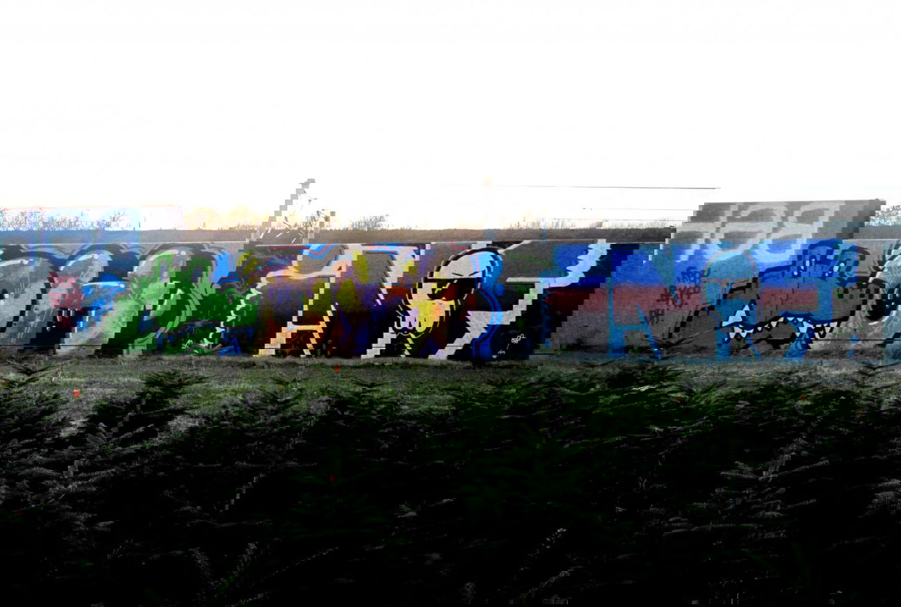 Graffiti Wall - Photo by stencilartist - oh, bexa, frog