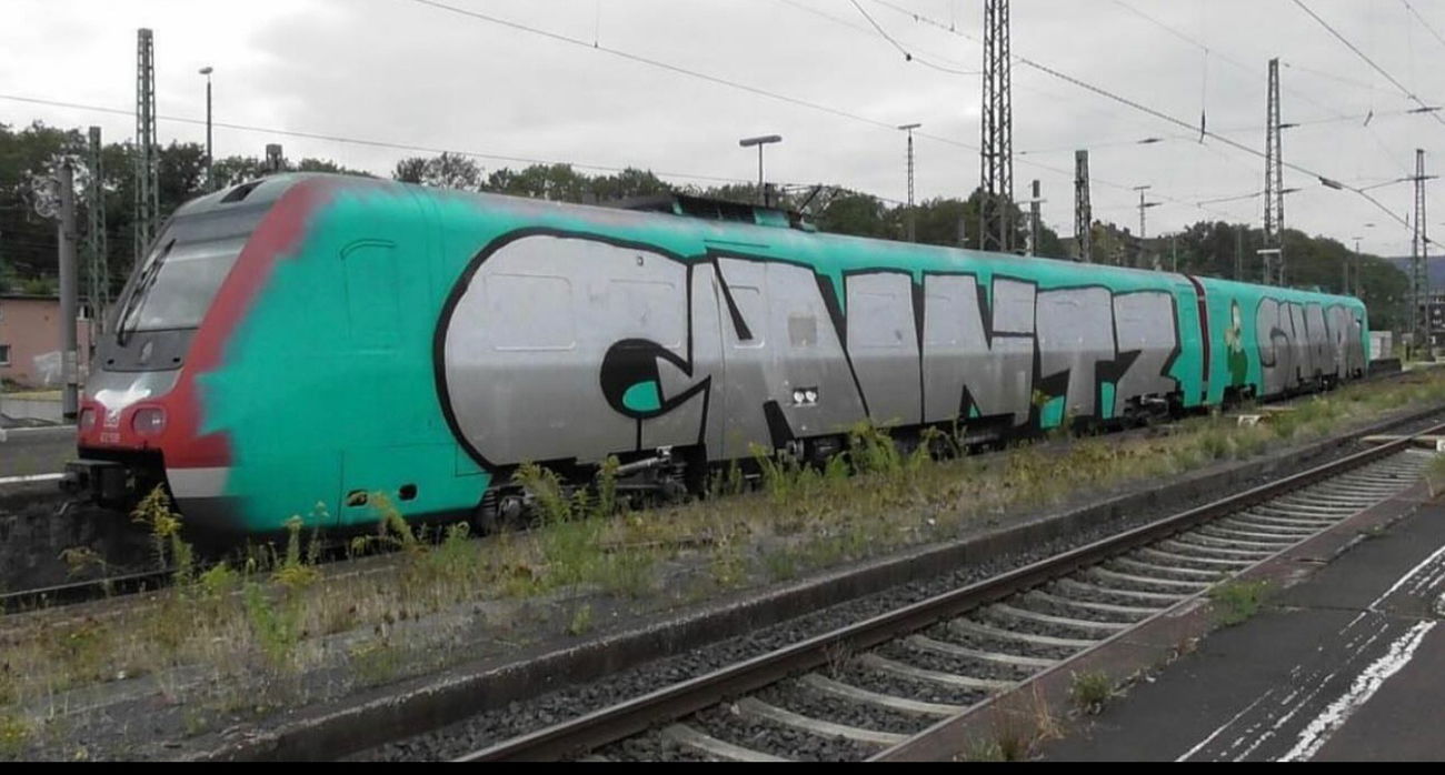 Graffiti Train - Photo by stickupkidd84 - Chintz, shark