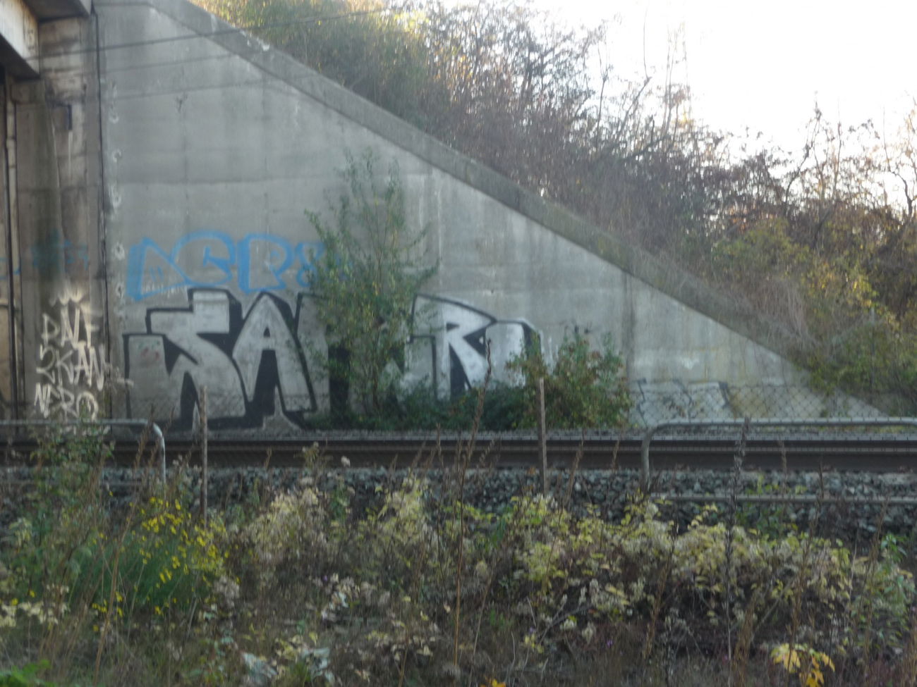 Graffiti Bombing - Photo by strasbourgraffiti