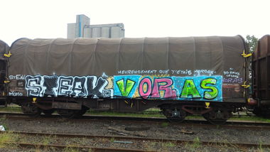Graffiti Train - Photo by strasbourgraffiti