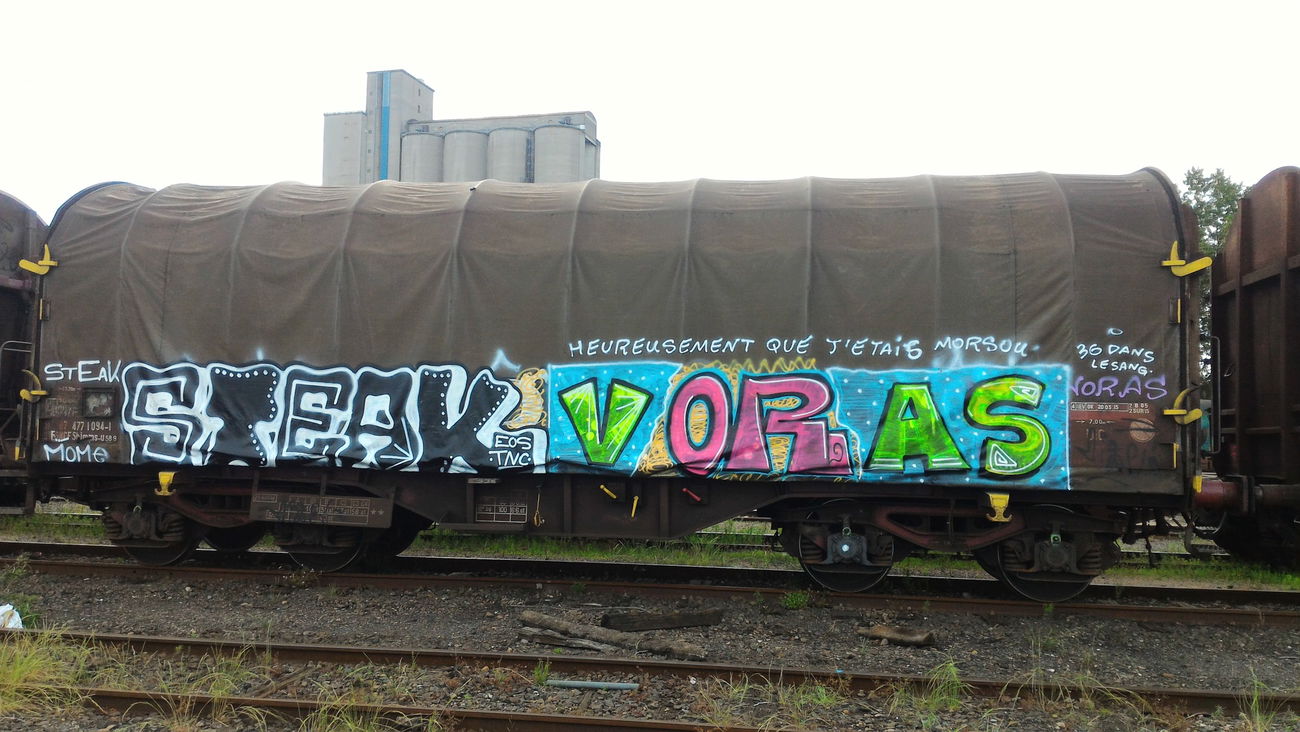 Graffiti Train - Photo by strasbourgraffiti