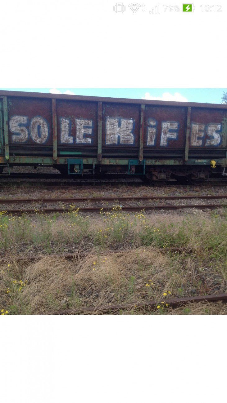 Graffiti Train - Photo by strasbourgraffiti