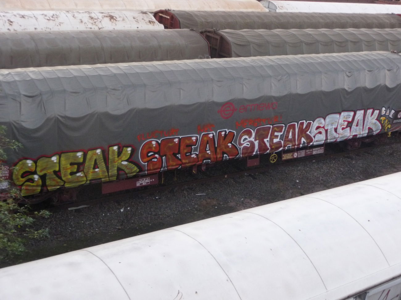 Graffiti Train - Photo by strasbourgraffiti